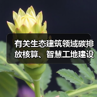 有关生态建筑领域碳排放核算、智慧工地建设标准发布（图3）