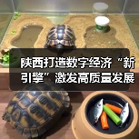 陕西打造数字经济“新引擎”激发高质量发展新动能（图2）