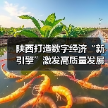 陕西打造数字经济“新引擎”激发高质量发展新动能（图1）