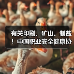 有关印刷、矿山、制盐!中国职业安全健康协会五项标准发布(图1) 有关印刷、矿山、制盐!中国职业安全健康协会五项标准发布(图1)