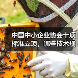 中国中小企业协会十项标准立项,哪些技术规程值得关注?(图3) 中国中小企业协会十项标准立项,哪些技术规程值得关注?(图3)