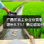 广西区直工业企业首季增长8.1%！新动能如何推动产业升级？（图3）