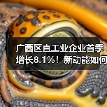广西区直工业企业首季增长8.1%！新动能如何推动产业升级？（图1）