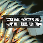 雪域高原再建世界级风电项目:起重机如何突破高海拔挑战?(图4) 雪域高原再建世界级风电项目:起重机如何突破高海拔挑战?(图4)