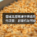 雪域高原再建世界级风电项目:起重机如何突破高海拔挑战?(图1) 雪域高原再建世界级风电项目:起重机如何突破高海拔挑战?(图1)
