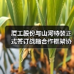 厦工股份与山河特装正式签订战略合作框架协议